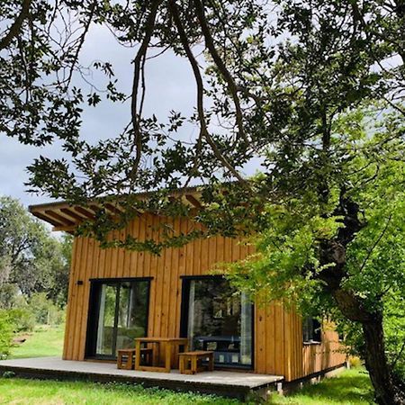 Kingfisher De Los Andes Villa Meliquina Dış mekan fotoğraf