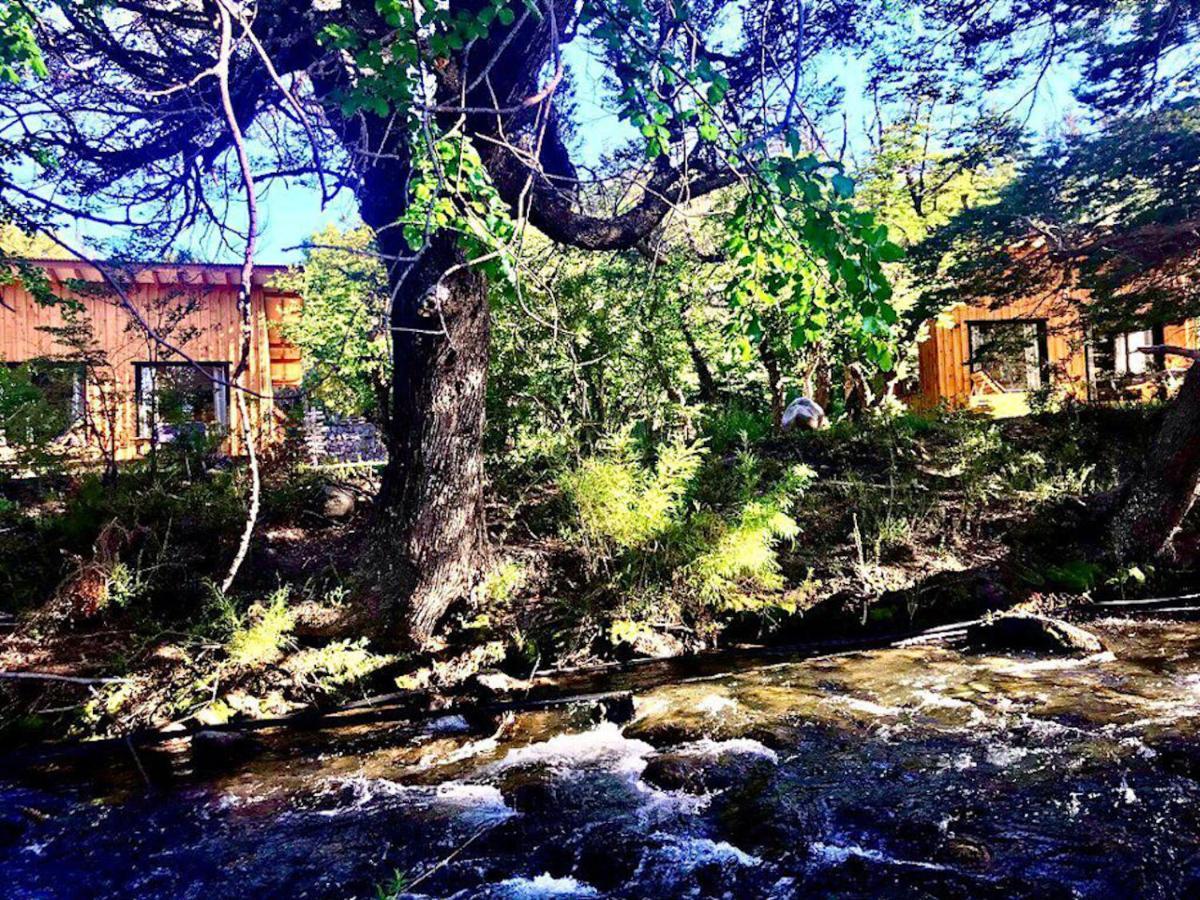 Kingfisher De Los Andes Villa Meliquina Dış mekan fotoğraf