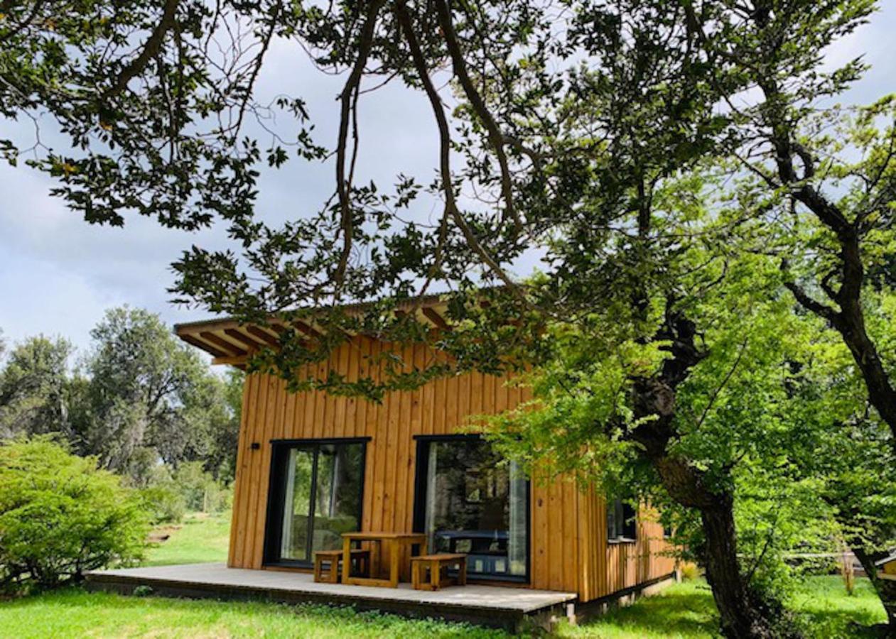 Kingfisher De Los Andes Villa Meliquina Dış mekan fotoğraf