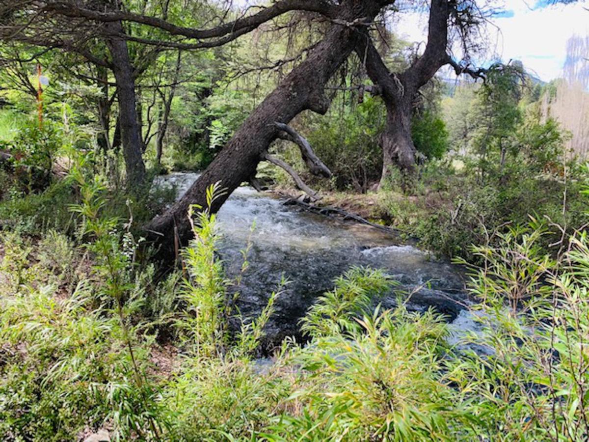 Kingfisher De Los Andes Villa Meliquina Dış mekan fotoğraf