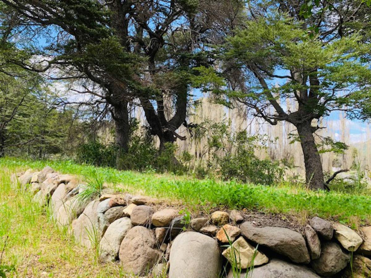 Kingfisher De Los Andes Villa Meliquina Dış mekan fotoğraf