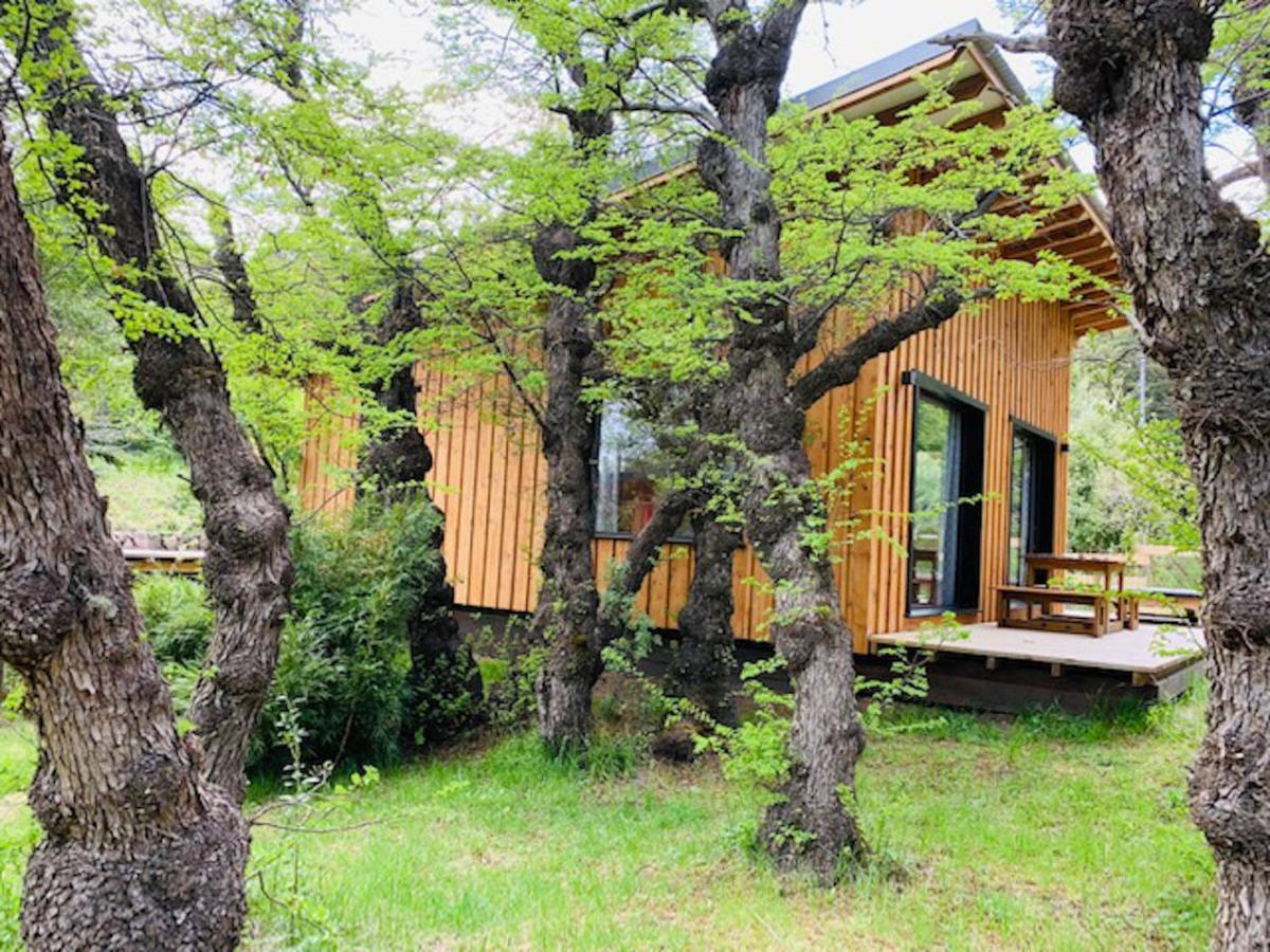 Kingfisher De Los Andes Villa Meliquina Dış mekan fotoğraf