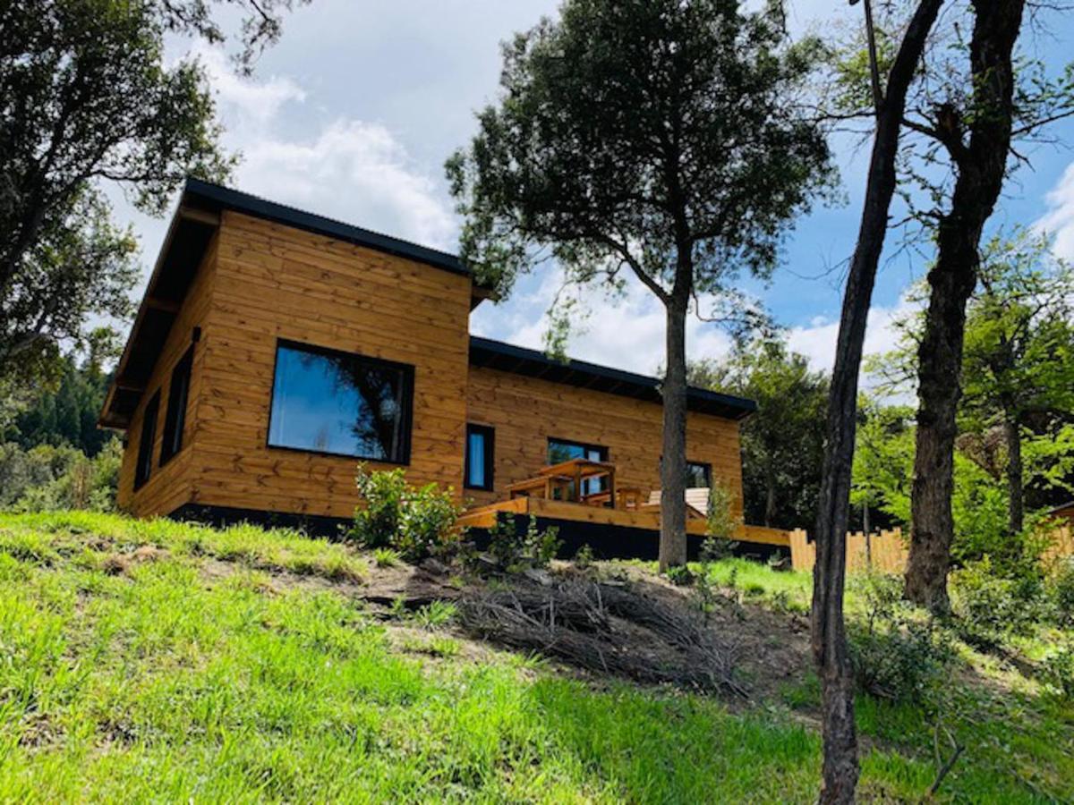 Kingfisher De Los Andes Villa Meliquina Dış mekan fotoğraf