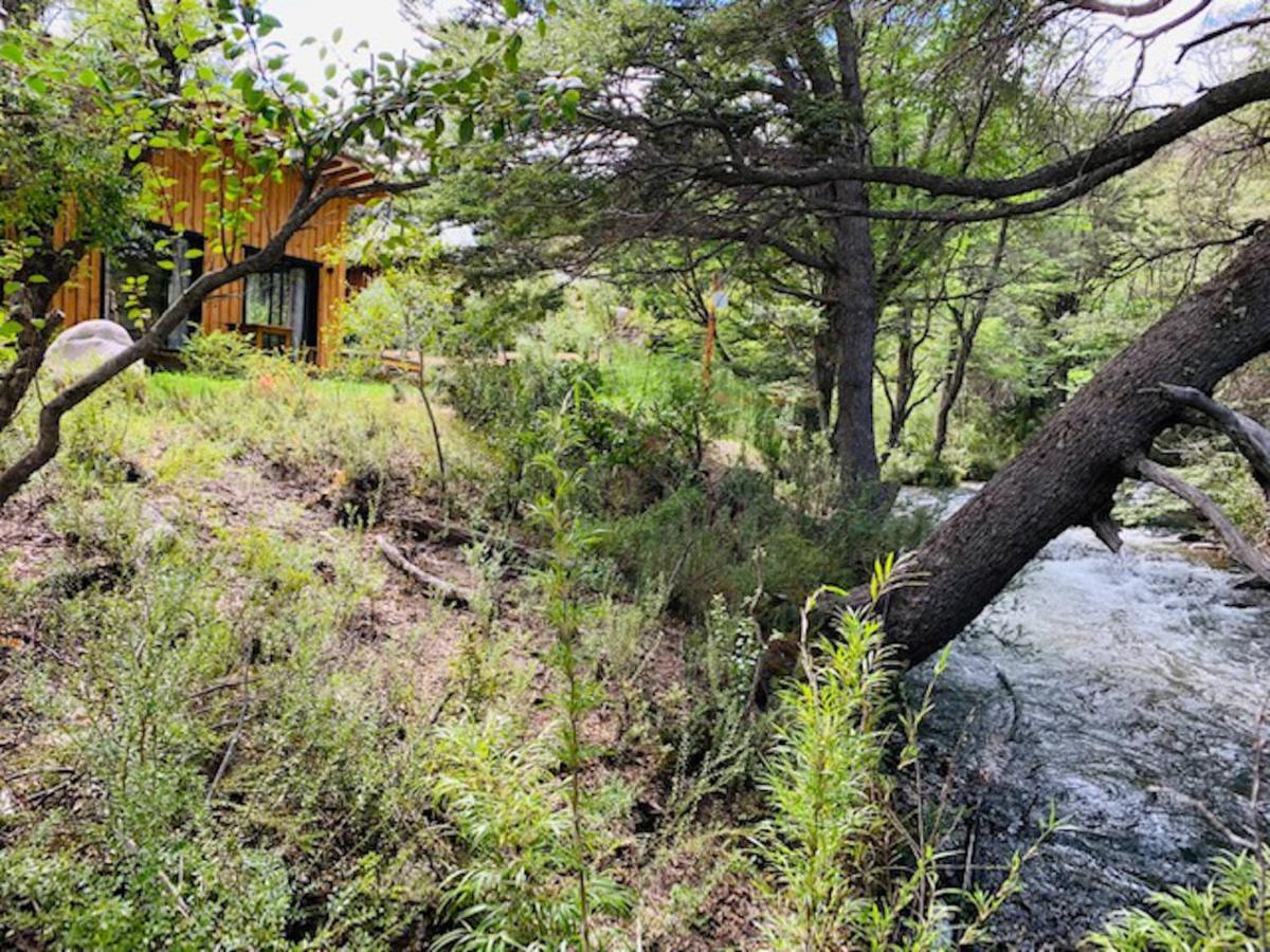 Kingfisher De Los Andes Villa Meliquina Dış mekan fotoğraf
